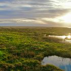 Westerheversand …Himmel und Land