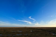 Westerheversand mit vereinzelter Nonnengans