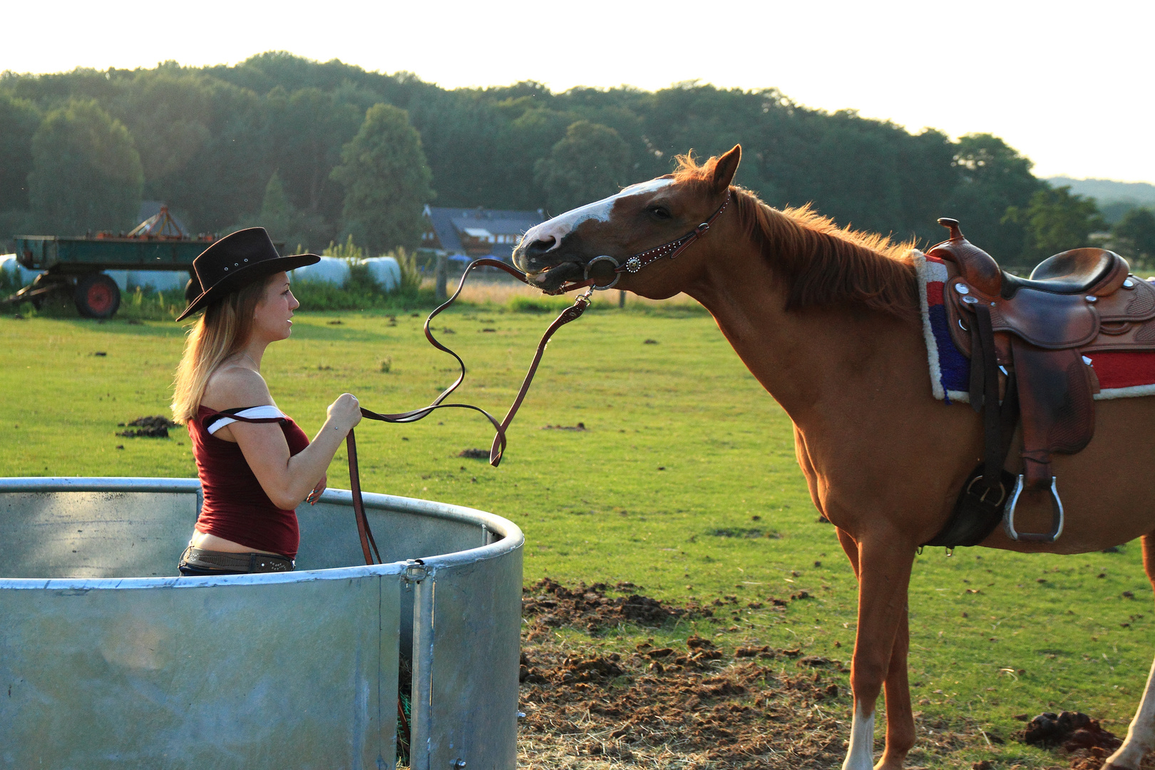 Westerlady mit Quarter horse