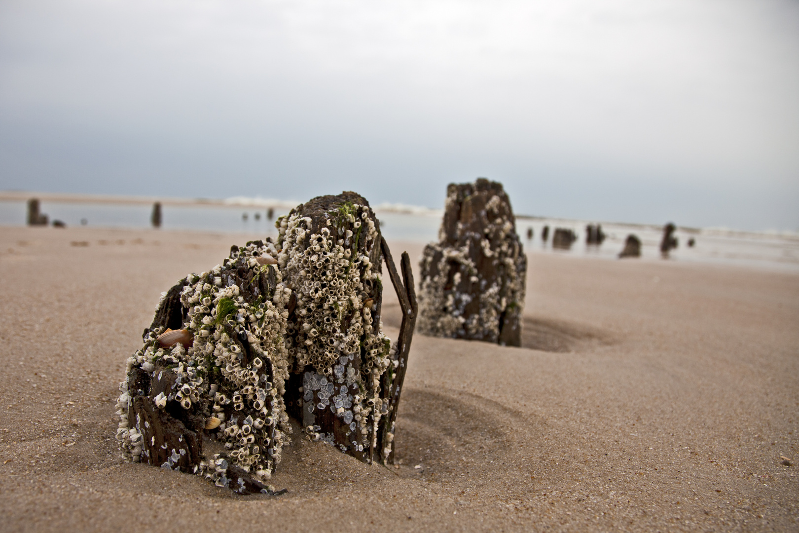 Westerland/ Sylt bei Ebbe