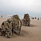 Westerland/ Sylt bei Ebbe