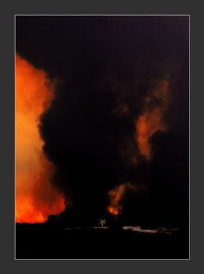 Western Australia / Burra Rock / Bushfire 2