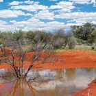 Western Australia