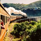 Western Cape Steam Railway