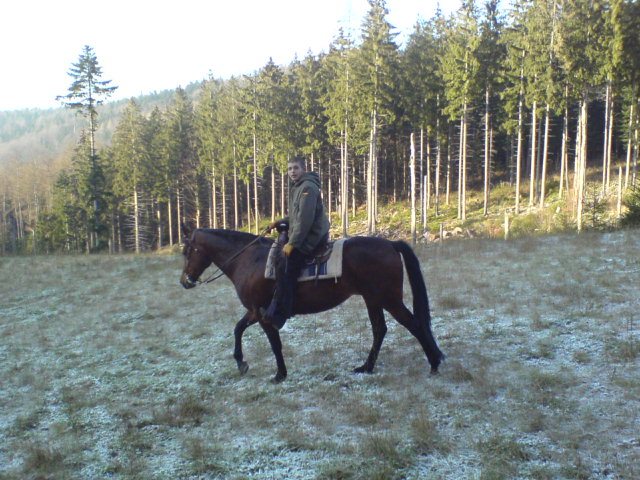 western in blackforest