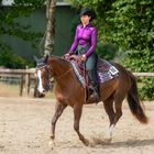 Western Reiten