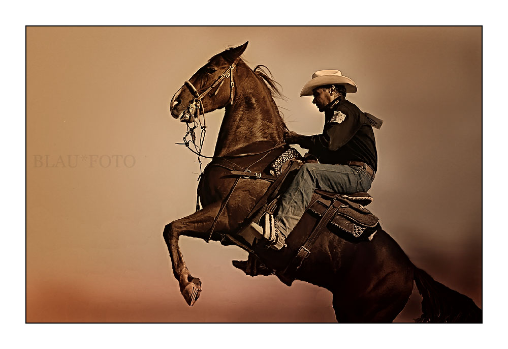 Western Rider