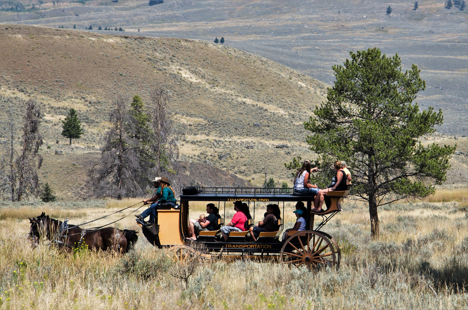 western romantik im Yellowstone NP