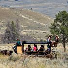 western romantik im Yellowstone NP