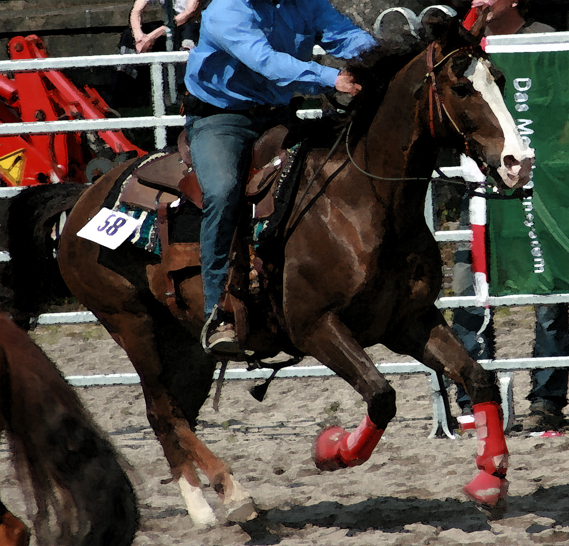 Western Round Up