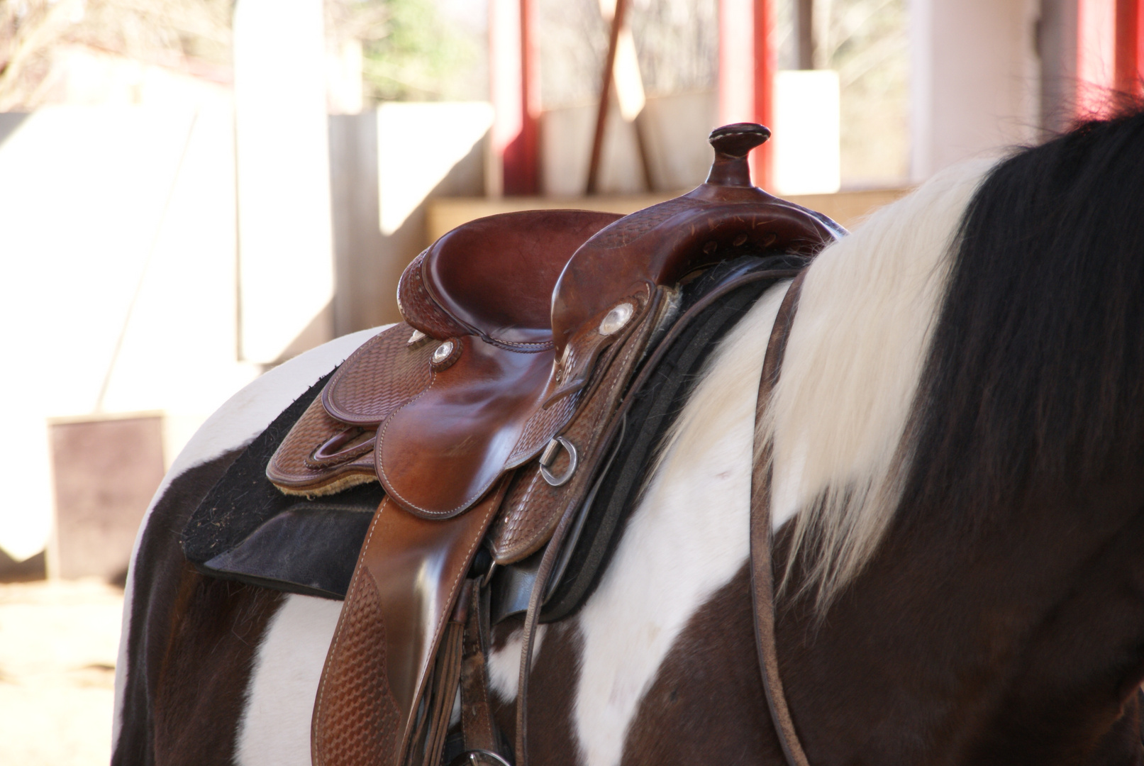 Western Saddle