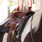 Western Saddle