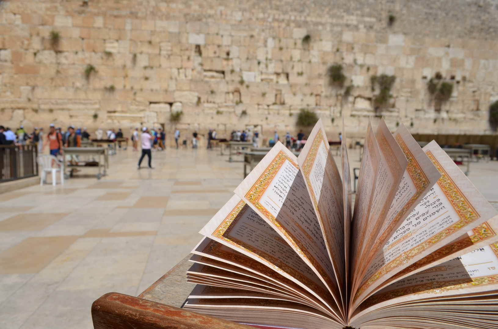 Western Wall Book