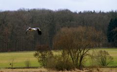 Westernhagen lässt grüßen