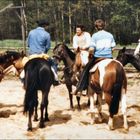 Westernreiten 1983