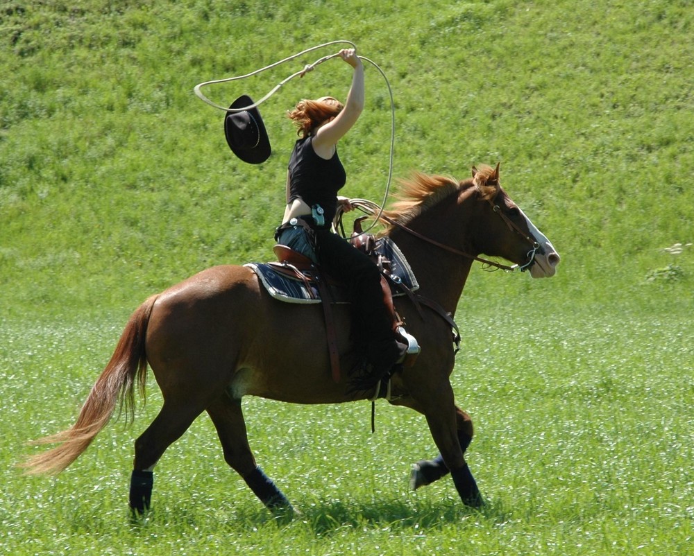 Westernreiten