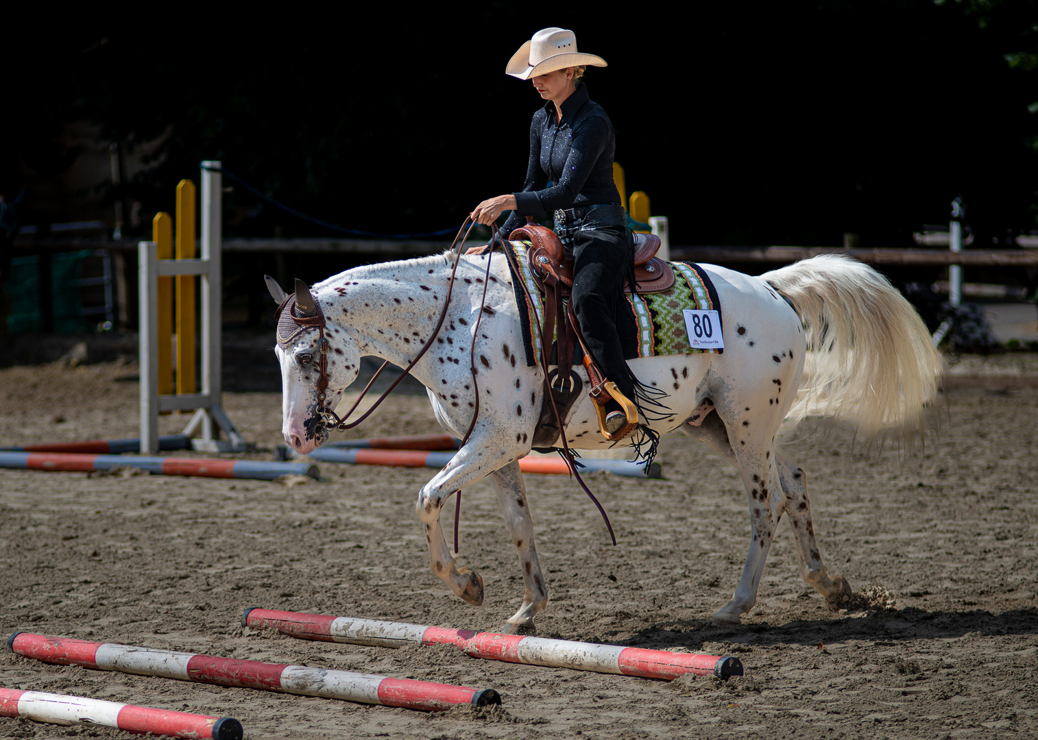 Westernreiten