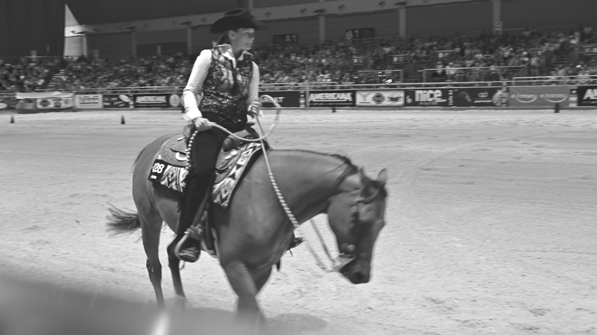 westernreiten Foto & Bild art, spezial, dokumentation Bilder auf