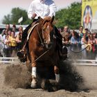 Westernreiten