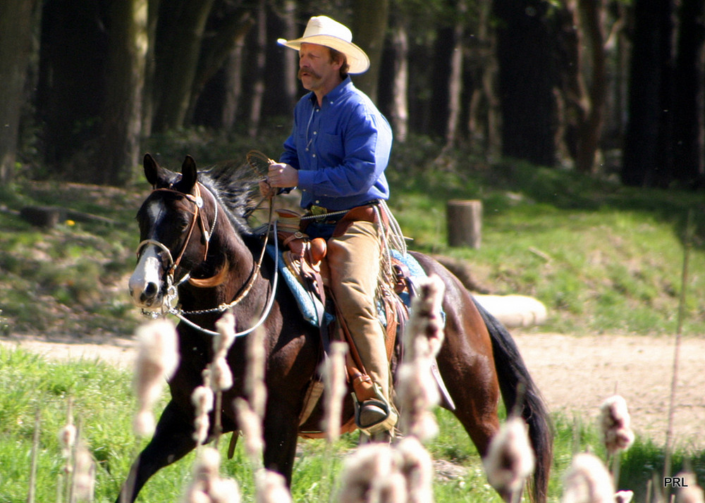 Westernreiten