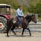 Westernreiten am Stoeffel - Teil II