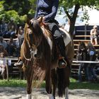 Westernreiten auf Burg Satzvey