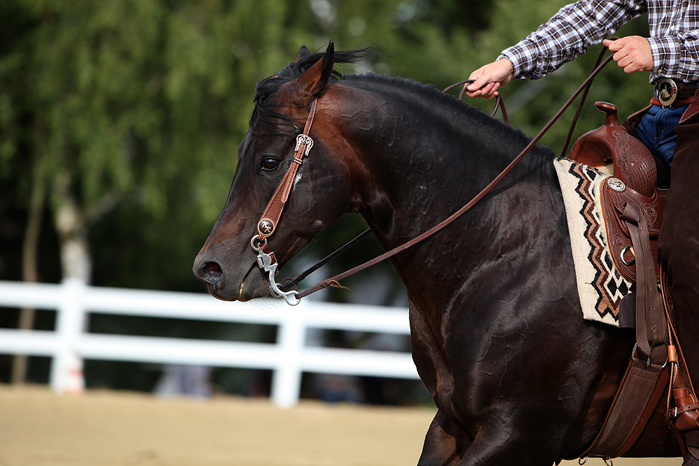 Westernreiten