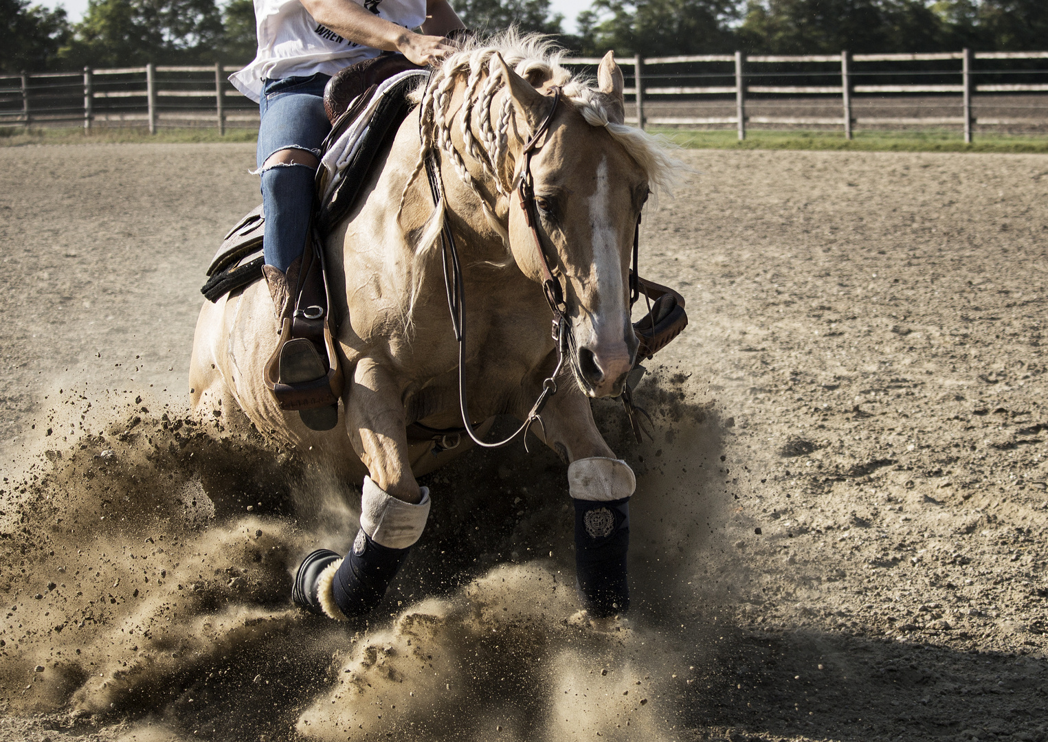 Westernreiten