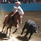 Westernreiten in Bayern