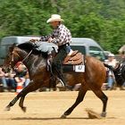 Westernreiten in Grosswallstadt