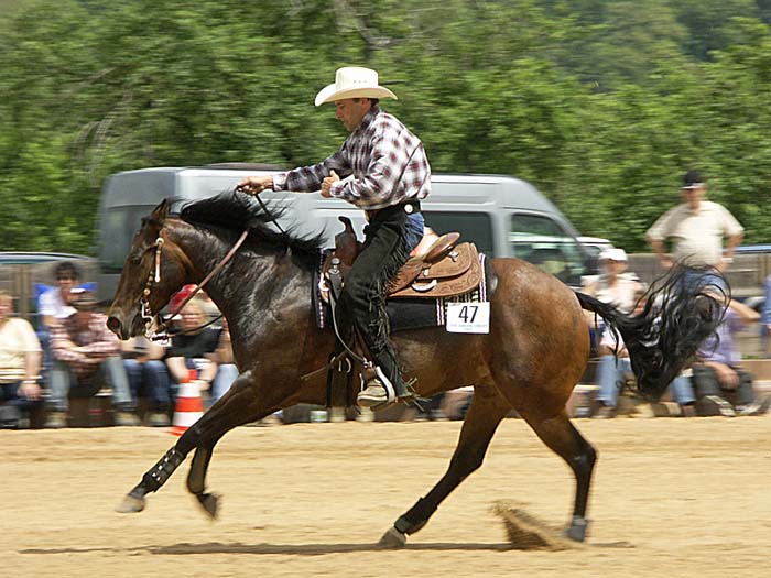 Westernreiten in Grosswallstadt