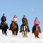 Westernreiter im Schnee