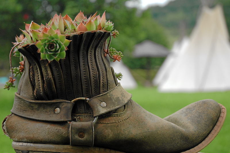 Westernstiefel