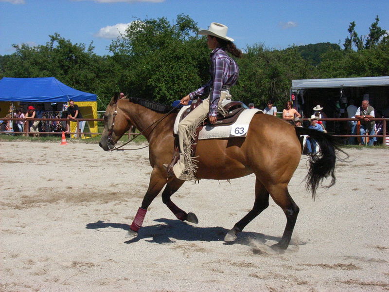 Westernturnier in Plüderhausen