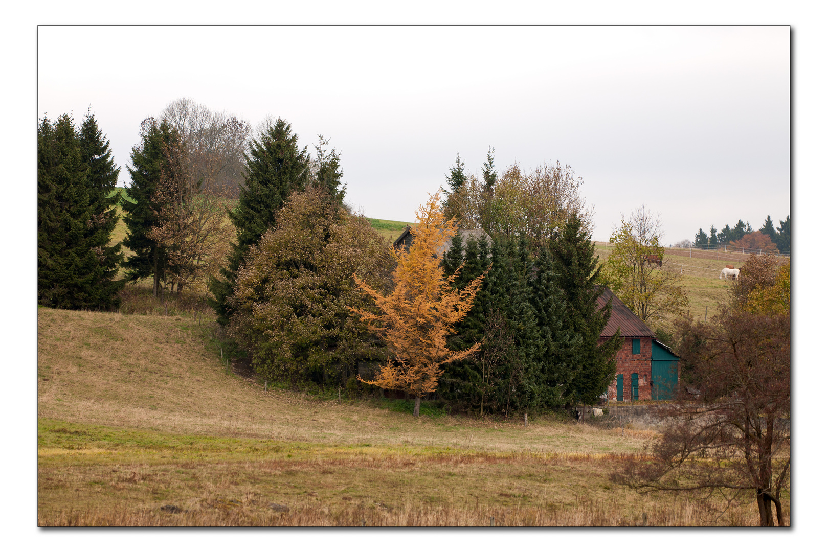 Westerwälder Herbst