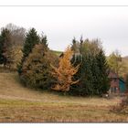 Westerwälder Herbst