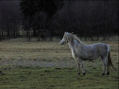 Westerwälder Luft...