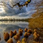 Westerwälder Seenplatte im Abendlicht