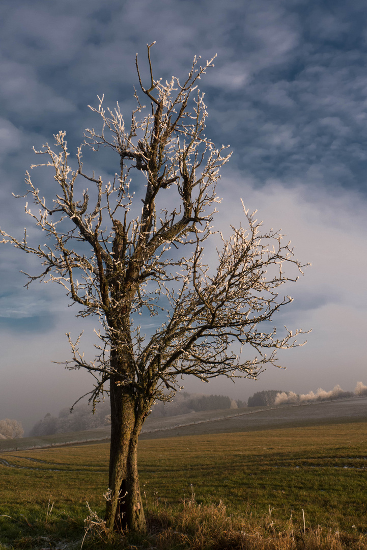 Westerwald