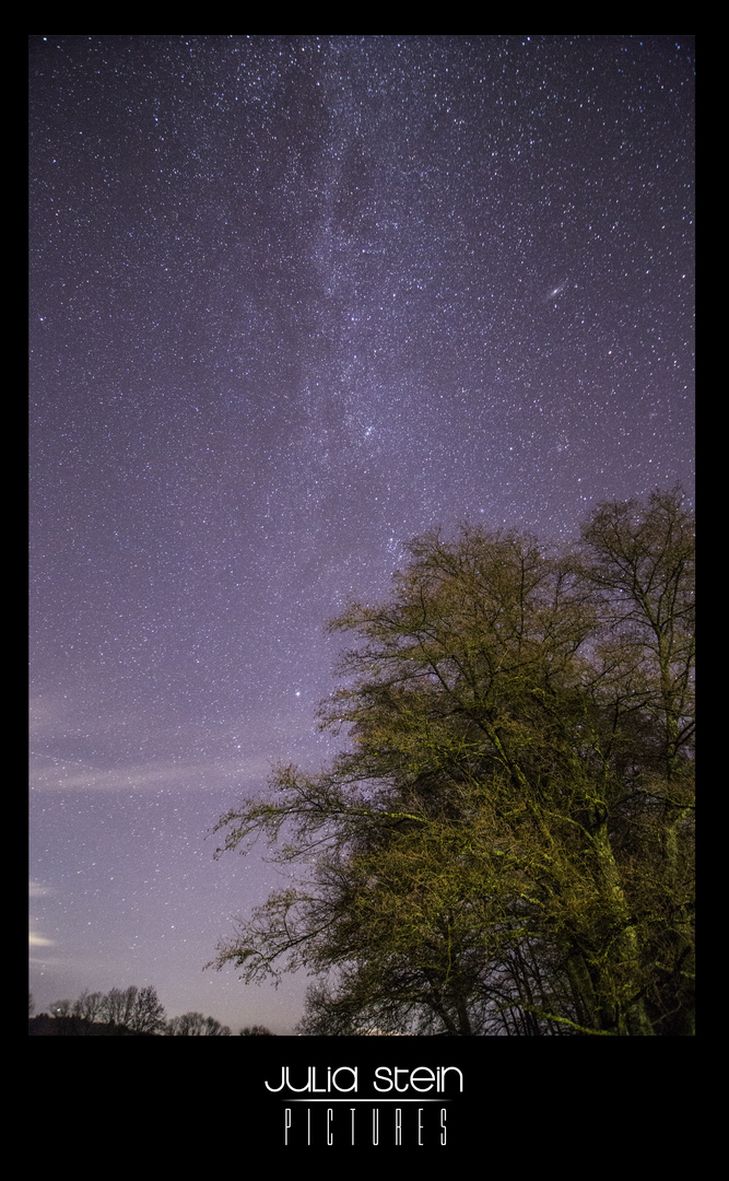 Westerwald bei Nacht