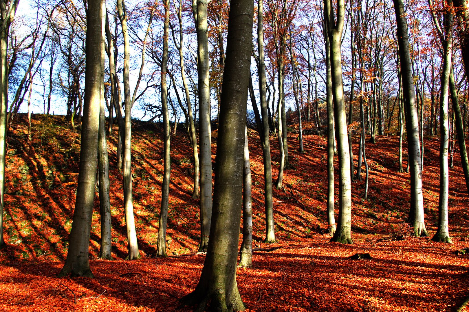 Westerwald