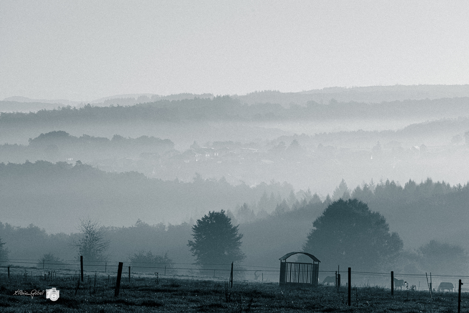 Westerwald im Nebel