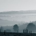 Westerwald im Nebel