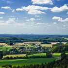 Westerwald im Sommer