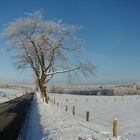 Westerwald im Winter