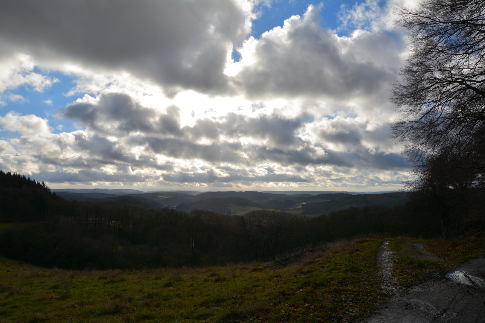 Westerwaldblick