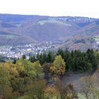 Westerwaldsteig bei Waldbreitbach