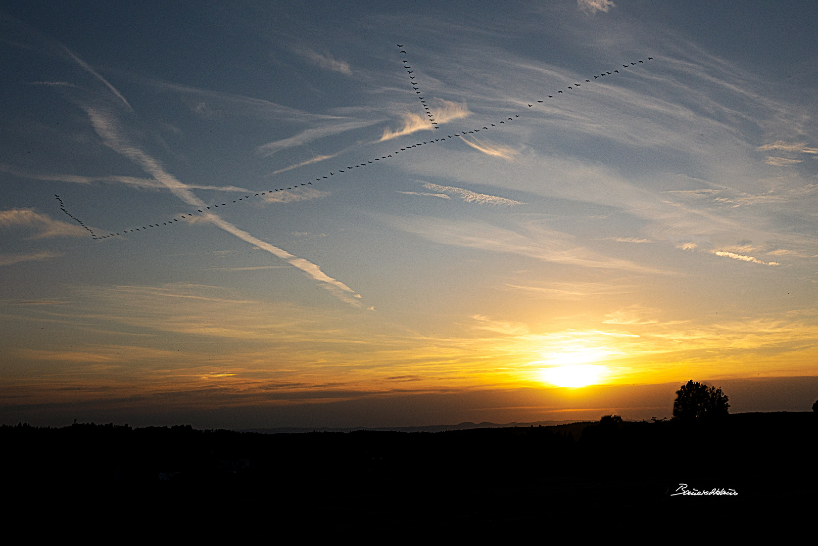 Westerwald_Zugvögel und Sonnenuntergang