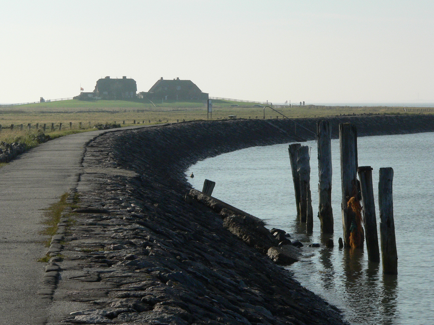 Westerwarft auf der Hallig Hooge