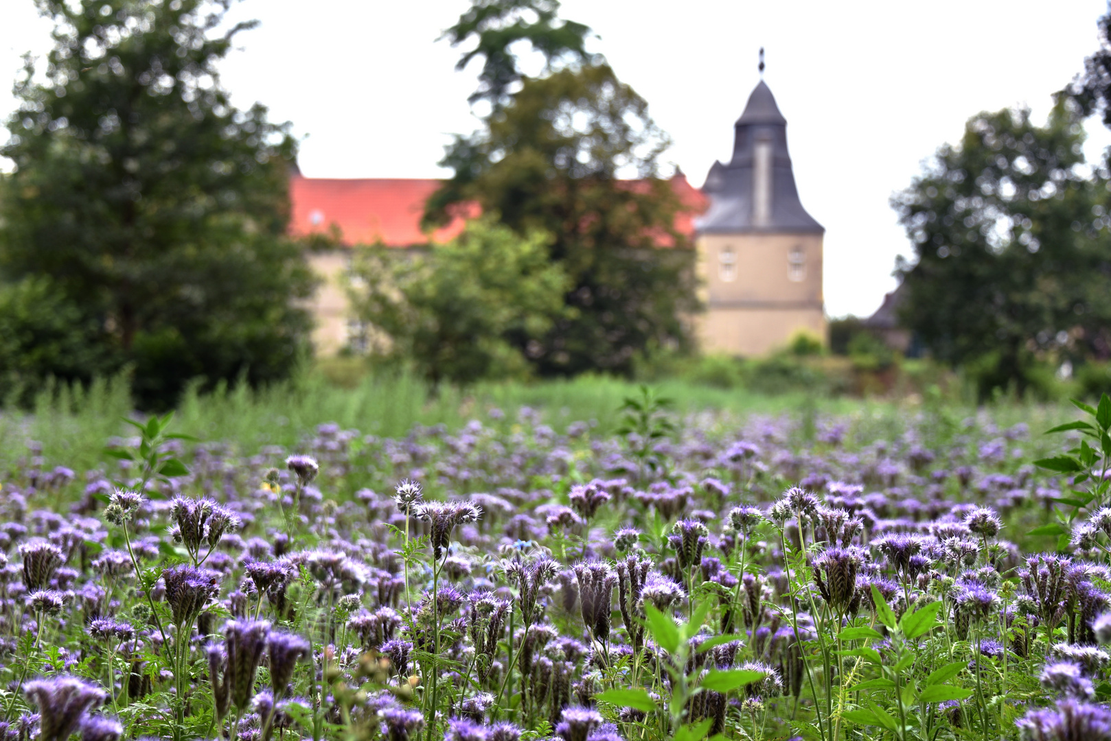 Westerwinkel - Revisited